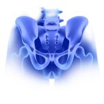 Hip prosthesis and pelvic implants